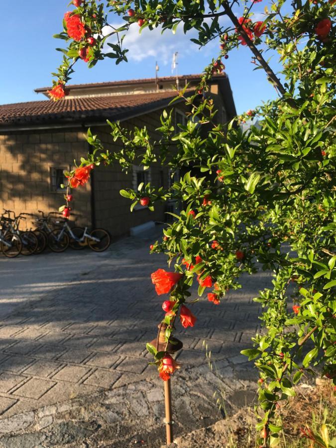 Bed and Breakfast Le Rocce SantʼAgata deʼ Goti Zewnętrze zdjęcie